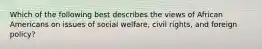 Which of the following best describes the views of African Americans on issues of social welfare, civil rights, and foreign policy?