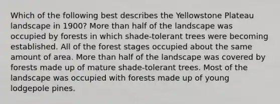 Which of the following best describes the Yellowstone Plateau landscape in 1900? More than half of the landscape was occupied by forests in which shade-tolerant trees were becoming established. All of the forest stages occupied about the same amount of area. More than half of the landscape was covered by forests made up of mature shade-tolerant trees. Most of the landscape was occupied with forests made up of young lodgepole pines.