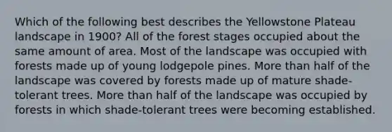 Which of the following best describes the Yellowstone Plateau landscape in 1900? All of the forest stages occupied about the same amount of area. Most of the landscape was occupied with forests made up of young lodgepole pines. More than half of the landscape was covered by forests made up of mature shade-tolerant trees. More than half of the landscape was occupied by forests in which shade-tolerant trees were becoming established.