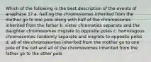 Which of the following is the best description of the events of anaphase 1? a. half og the chromosomes inherited from the mother go to one pole along with half of the chromosomes inherited from the father b. sister chromatids separate and the daughter chromosomes migrate to opposite poles c. homologous chromosomes randomly separate and migrate to opposite poles d. all of the chromosomes inherited from the mother go to one pole of the cell and all of the chromosomes inherited from the father go to the other pole