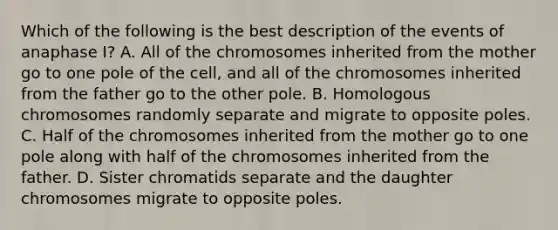 Which of the following is the best description of the events of anaphase I? A. All of the chromosomes inherited from the mother go to one pole of the cell, and all of the chromosomes inherited from the father go to the other pole. B. Homologous chromosomes randomly separate and migrate to opposite poles. C. Half of the chromosomes inherited from the mother go to one pole along with half of the chromosomes inherited from the father. D. Sister chromatids separate and the daughter chromosomes migrate to opposite poles.