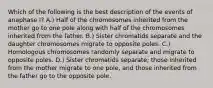 Which of the following is the best description of the events of anaphase I? A.) Half of the chromosomes inherited from the mother go to one pole along with half of the chromosomes inherited from the father. B.) Sister chromatids separate and the daughter chromosomes migrate to opposite poles. C.) Homologous chromosomes randomly separate and migrate to opposite poles. D.) Sister chromatids separate; those inherited from the mother migrate to one pole, and those inherited from the father go to the opposite pole.