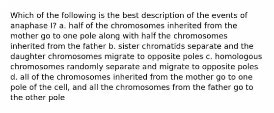 Which of the following is the best description of the events of anaphase I? a. half of the chromosomes inherited from the mother go to one pole along with half the chromosomes inherited from the father b. sister chromatids separate and the daughter chromosomes migrate to opposite poles c. homologous chromosomes randomly separate and migrate to opposite poles d. all of the chromosomes inherited from the mother go to one pole of the cell, and all the chromosomes from the father go to the other pole