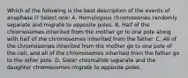 Which of the following is the best description of the events of anaphase I? Select one: A. Homologous chromosomes randomly separate and migrate to opposite poles. B. Half of the chromosomes inherited from the mother go to one pole along with half of the chromosomes inherited from the father. C. All of the chromosomes inherited from the mother go to one pole of the cell, and all of the chromosomes inherited from the father go to the other pole. D. Sister chromatids separate and the daughter chromosomes migrate to opposite poles.