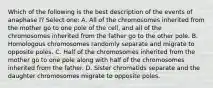 Which of the following is the best description of the events of anaphase I? Select one: A. All of the chromosomes inherited from the mother go to one pole of the cell, and all of the chromosomes inherited from the father go to the other pole. B. Homologous chromosomes randomly separate and migrate to opposite poles. C. Half of the chromosomes inherited from the mother go to one pole along with half of the chromosomes inherited from the father. D. Sister chromatids separate and the daughter chromosomes migrate to opposite poles.