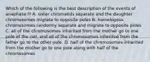 Which of the following is the best description of the events of anaphase I? A. sister chromatids separate and the daughter chromosomes migrate to opposite poles B. homologous chromosomes randomly separate and migrate to opposite poles C. all of the chromosomes inherited from the mother go to one pole of the cell, and all of the chromosomes inherited from the father go to the other pole. D. half of the chromosomes inherited from the mother go to one pole along with half of the chromosomes