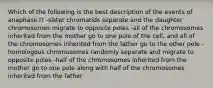 Which of the following is the best description of the events of anaphase I? -sister chromatids separate and the daughter chromosomes migrate to opposite poles -all of the chromosomes inherited from the mother go to one pole of the cell, and all of the chromosomes inherited from the father go to the other pole -homologous chromosomes randomly separate and migrate to opposite poles -half of the chromosomes inherited from the mother go to one pole along with half of the chromosomes inherited from the father