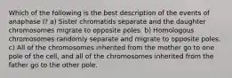 Which of the following is the best description of the events of anaphase I? a) Sister chromatids separate and the daughter chromosomes migrate to opposite poles. b) Homologous chromosomes randomly separate and migrate to opposite poles. c) All of the chromosomes inherited from the mother go to one pole of the cell, and all of the chromosomes inherited from the father go to the other pole.