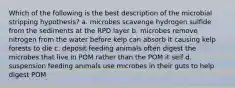 Which of the following is the best description of the microbial stripping hypothesis? a. microbes scavenge hydrogen sulfide from the sediments at the RPD layer b. microbes remove nitrogen from the water before kelp can absorb it causing kelp forests to die c. deposit feeding animals often digest the microbes that live in POM rather than the POM it self d. suspension feeding animals use microbes in their guts to help digest POM