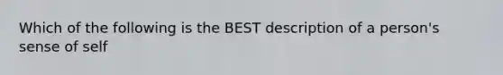 Which of the following is the BEST description of a person's sense of self