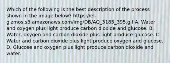 Which of the following is the best description of the process shown in the image below? https://el-gizmos.s3.amazonaws.com/img/DB/AQ_3185_395.gif A. Water and oxygen plus light produce carbon dioxide and glucose. B. Water, oxygen and carbon dioxide plus light produce glucose. C. Water and carbon dioxide plus light produce oxygen and glucose. D. Glucose and oxygen plus light produce carbon dioxide and water.