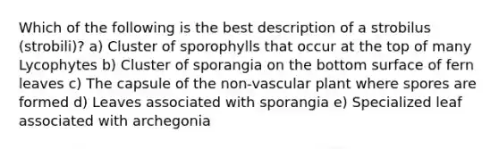 Which of the following is the best description of a strobilus (strobili)? a) Cluster of sporophylls that occur at the top of many Lycophytes b) Cluster of sporangia on the bottom surface of fern leaves c) The capsule of the non-vascular plant where spores are formed d) Leaves associated with sporangia e) Specialized leaf associated with archegonia