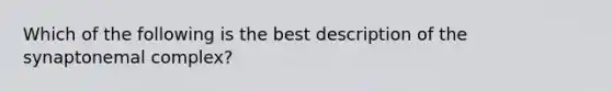 Which of the following is the best description of the synaptonemal complex?