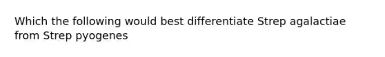 Which the following would best differentiate Strep agalactiae from Strep pyogenes