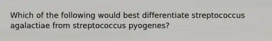 Which of the following would best differentiate streptococcus agalactiae from streptococcus pyogenes?