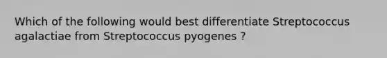 Which of the following would best differentiate Streptococcus agalactiae from Streptococcus pyogenes ?