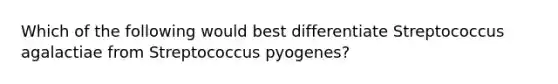 Which of the following would best differentiate Streptococcus agalactiae from Streptococcus pyogenes?