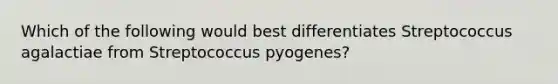 Which of the following would best differentiates Streptococcus agalactiae from Streptococcus pyogenes?