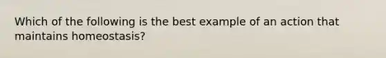 Which of the following is the best example of an action that maintains homeostasis?