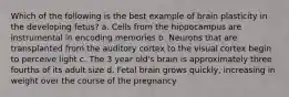 Which of the following is the best example of brain plasticity in the developing fetus? a. Cells from the hippocampus are instrumental in encoding memories b. Neurons that are transplanted from the auditory cortex to the visual cortex begin to perceive light c. The 3 year old's brain is approximately three fourths of its adult size d. Fetal brain grows quickly, increasing in weight over the course of the pregnancy