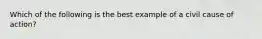 Which of the following is the best example of a civil cause of action?