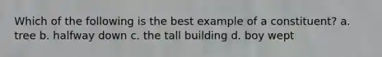 Which of the following is the best example of a constituent? a. tree b. halfway down c. the tall building d. boy wept