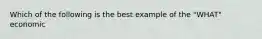 Which of the following is the best example of the "WHAT" economic