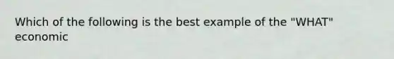 Which of the following is the best example of the "WHAT" economic