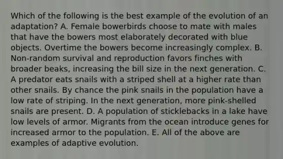 Which of the following is the best example of the evolution of an adaptation? A. Female bowerbirds choose to mate with males that have the bowers most elaborately decorated with blue objects. Overtime the bowers become increasingly complex. B. Non-random survival and reproduction favors finches with broader beaks, increasing the bill size in the next generation. C. A predator eats snails with a striped shell at a higher rate than other snails. By chance the pink snails in the population have a low rate of striping. In the next generation, more pink-shelled snails are present. D. A population of sticklebacks in a lake have low levels of armor. Migrants from the ocean introduce genes for increased armor to the population. E. All of the above are examples of adaptive evolution.