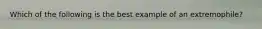 Which of the following is the best example of an extremophile?