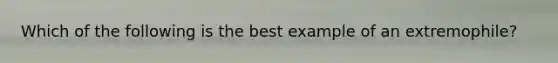 Which of the following is the best example of an extremophile?