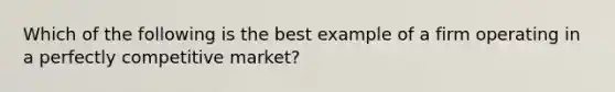 Which of the following is the best example of a firm operating in a perfectly competitive market?