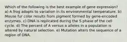 Which of the following is the best example of gene expression? a) A frog adapts to variation in its environmental temperature. b) Mouse fur color results from pigment formed by gene-encoded enzymes. c) DNA is replicated during the S phase of the cell cycle. d) The percent of A versus a alleles in a population is altered by natural selection. e) Mutation alters the sequence of a region of DNA.