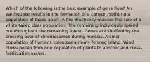 Which of the following is the best example of gene flow? An earthquake results in the formation of a canyon, splitting a population of toads apart. A fire drastically reduces the size of a white-tailed deer population. The remaining individuals spread out throughout the remaining forest. Genes are shuffled by the crossing over of chromosomes during meiosis. A small population of humans colonizes a newly formed island. Wind blows pollen from one population of plants to another and cross-fertilization occurs.