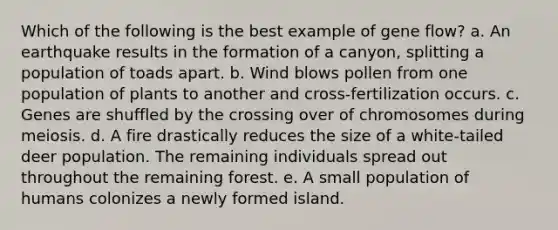 Which of the following is the best example of gene flow? a. An earthquake results in the formation of a canyon, splitting a population of toads apart. b. Wind blows pollen from one population of plants to another and cross-fertilization occurs. c. Genes are shuffled by the crossing over of chromosomes during meiosis. d. A fire drastically reduces the size of a white-tailed deer population. The remaining individuals spread out throughout the remaining forest. e. A small population of humans colonizes a newly formed island.