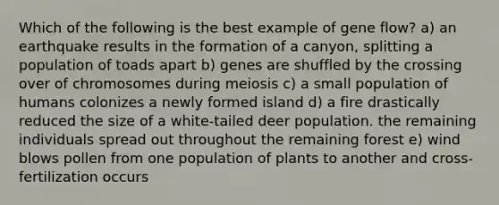 Which of the following is the best example of gene flow? a) an earthquake results in the formation of a canyon, splitting a population of toads apart b) genes are shuffled by the crossing over of chromosomes during meiosis c) a small population of humans colonizes a newly formed island d) a fire drastically reduced the size of a white-tailed deer population. the remaining individuals spread out throughout the remaining forest e) wind blows pollen from one population of plants to another and cross-fertilization occurs