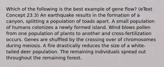 Which of the following is the best example of gene flow? (eText Concept 23.3) An earthquake results in the formation of a canyon, splitting a population of toads apart. A small population of humans colonizes a newly formed island. Wind blows pollen from one population of plants to another and cross-fertilization occurs. Genes are shuffled by the crossing over of chromosomes during meiosis. A fire drastically reduces the size of a white-tailed deer population. The remaining individuals spread out throughout the remaining forest.