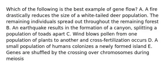 Which of the following is the best example of gene flow? A. A fire drastically reduces the size of a white-tailed deer population. The remaining individuals spread out throughout the remaining forest B. An earthquake results in the formation of a canyon, splitting a population of toads apart C. Wind blows pollen from one population of plants to another and cross-fertilization occurs D. A small population of humans colonizes a newly formed island E. Genes are shuffled by the crossing over chromosomes during meiosis