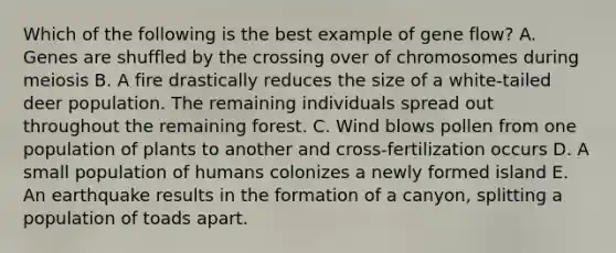 Which of the following is the best example of gene flow? A. Genes are shuffled by the crossing over of chromosomes during meiosis B. A fire drastically reduces the size of a white-tailed deer population. The remaining individuals spread out throughout the remaining forest. C. Wind blows pollen from one population of plants to another and cross-fertilization occurs D. A small population of humans colonizes a newly formed island E. An earthquake results in the formation of a canyon, splitting a population of toads apart.