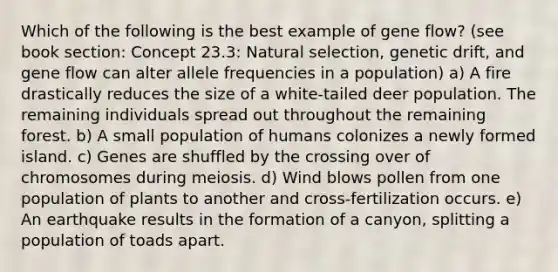 Which of the following is the best example of gene flow? (see book section: Concept 23.3: Natural selection, genetic drift, and gene flow can alter allele frequencies in a population) a) A fire drastically reduces the size of a white-tailed deer population. The remaining individuals spread out throughout the remaining forest. b) A small population of humans colonizes a newly formed island. c) Genes are shuffled by the crossing over of chromosomes during meiosis. d) Wind blows pollen from one population of plants to another and cross-fertilization occurs. e) An earthquake results in the formation of a canyon, splitting a population of toads apart.