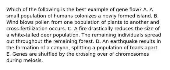 Which of the following is the best example of gene flow? A. A small population of humans colonizes a newly formed island. B. Wind blows pollen from one population of plants to another and cross-fertilization occurs. C. A fire drastically reduces the size of a white-tailed deer population. The remaining individuals spread out throughout the remaining forest. D. An earthquake results in the formation of a canyon, splitting a population of toads apart. E. Genes are shuffled by the crossing over of chromosomes during meiosis.