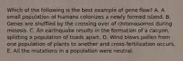 Which of the following is the best example of gene flow? A. A small population of humans colonizes a newly formed island. B. Genes are shuffled by the crossing over of chromosomes during meiosis. C. An earthquake results in the formation of a canyon, splitting a population of toads apart. D. Wind blows pollen from one population of plants to another and cross-fertilization occurs. E. All the mutations in a population were neutral.