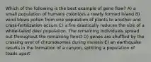 Which of the following is the best example of gene flow? A) a small population of humans colonizes a newly formed island B) wind blows pollen from one population of plants to another and cross-fertilization occurs C) a fire drastically reduces the size of a white-tailed deer population. The remaining individuals spread out throughout the remaining forest D) genes are shuffled by the crossing over of chromosomes during meiosis E) an earthquake results in the formation of a canyon, splitting a population of toads apart