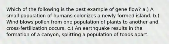 Which of the following is the best example of gene flow? a.) A small population of humans colonizes a newly formed island. b.) Wind blows pollen from one population of plants to another and cross-fertilization occurs. c.) An earthquake results in the formation of a canyon, splitting a population of toads apart.