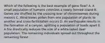 Which of the following is the best example of gene flow? A. A small population of humans colonizes a newly formed island B. Genes are shuffled by the crossing over of chromosomes during meiosis C. Wind blows pollen from one population of plants to another and cross-fertilization occurs D. An earthquake results in the formation of a canyon, splitting a population of toads apart E. A fire drastically reduces the size of a white-tailed deer population. The remaining individuals spread out throughout the remaining forest