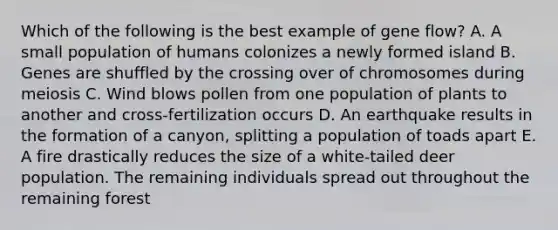 Which of the following is the best example of gene flow? A. A small population of humans colonizes a newly formed island B. Genes are shuffled by the crossing over of chromosomes during meiosis C. Wind blows pollen from one population of plants to another and cross-fertilization occurs D. An earthquake results in the formation of a canyon, splitting a population of toads apart E. A fire drastically reduces the size of a white-tailed deer population. The remaining individuals spread out throughout the remaining forest