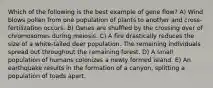 Which of the following is the best example of gene flow? A) Wind blows pollen from one population of plants to another and cross-fertilization occurs. B) Genes are shuffled by the crossing over of chromosomes during meiosis. C) A fire drastically reduces the size of a white-tailed deer population. The remaining individuals spread out throughout the remaining forest. D) A small population of humans colonizes a newly formed island. E) An earthquake results in the formation of a canyon, splitting a population of toads apart.