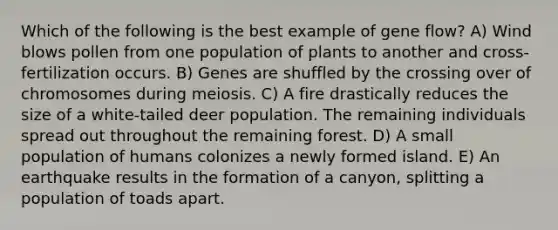 Which of the following is the best example of gene flow? A) Wind blows pollen from one population of plants to another and cross-fertilization occurs. B) Genes are shuffled by the crossing over of chromosomes during meiosis. C) A fire drastically reduces the size of a white-tailed deer population. The remaining individuals spread out throughout the remaining forest. D) A small population of humans colonizes a newly formed island. E) An earthquake results in the formation of a canyon, splitting a population of toads apart.