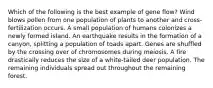 Which of the following is the best example of gene flow? Wind blows pollen from one population of plants to another and cross-fertilization occurs. A small population of humans colonizes a newly formed island. An earthquake results in the formation of a canyon, splitting a population of toads apart. Genes are shuffled by the crossing over of chromosomes during meiosis. A fire drastically reduces the size of a white-tailed deer population. The remaining individuals spread out throughout the remaining forest.