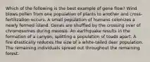 Which of the following is the best example of gene flow? Wind blows pollen from one population of plants to another and cross-fertilization occurs. A small population of humans colonizes a newly formed island. Genes are shuffled by the crossing over of chromosomes during meiosis. An earthquake results in the formation of a canyon, splitting a population of toads apart. A fire drastically reduces the size of a white-tailed deer population. The remaining individuals spread out throughout the remaining forest.